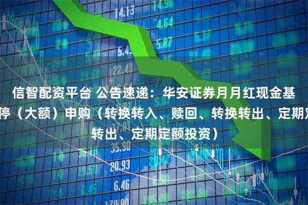 信智配资平台 公告速递：华安证券月月红现金基金基金暂停（大额）申购（转换转入、赎回、转换转出、定期定额投资）