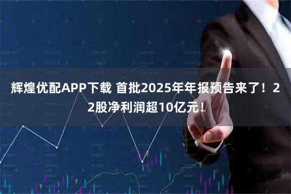 辉煌优配APP下载 首批2025年年报预告来了！22股净利润超10亿元！