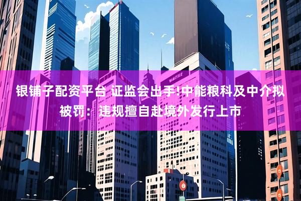 银铺子配资平台 证监会出手!中能粮科及中介拟被罚：违规擅自赴境外发行上市